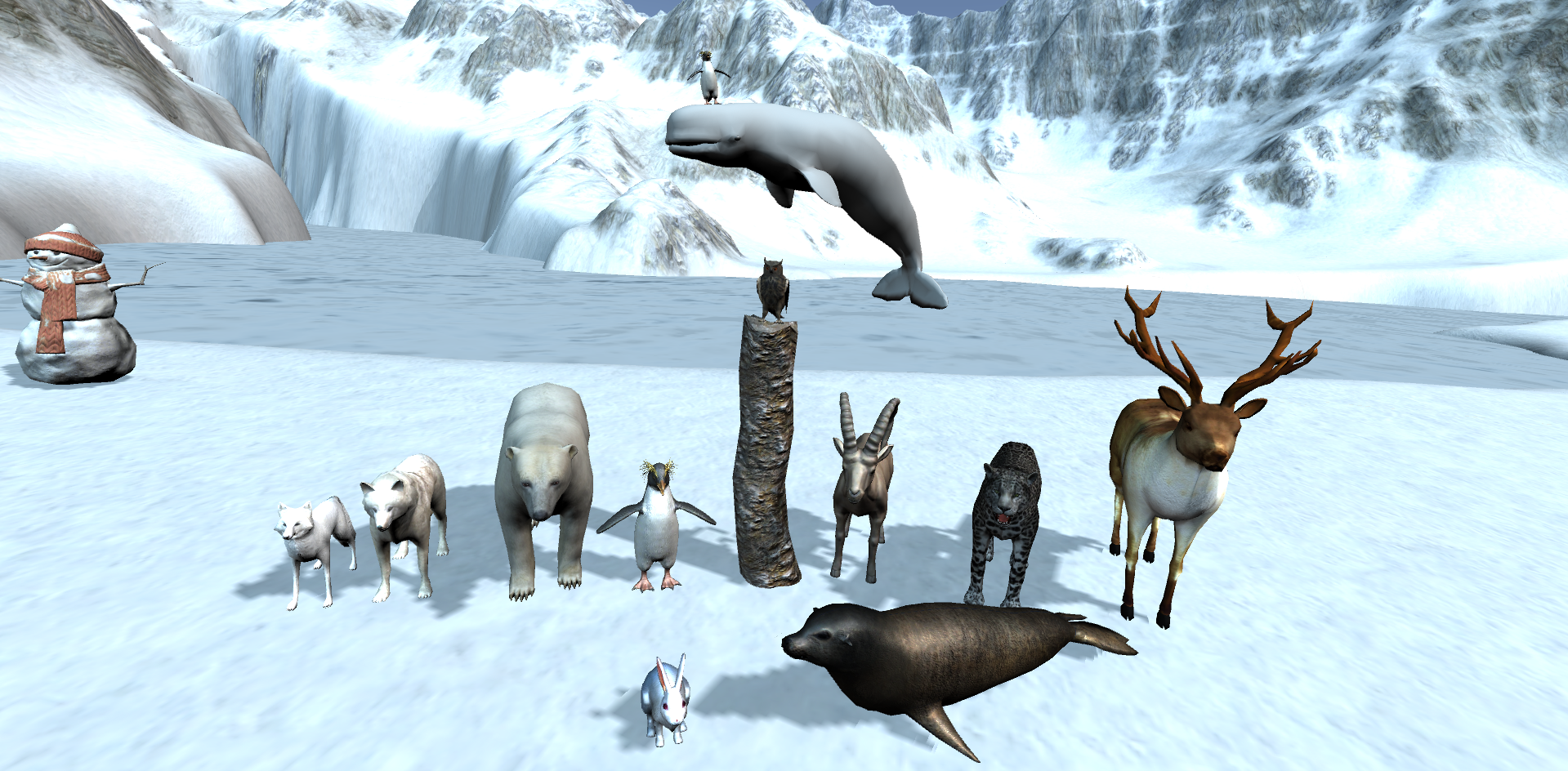 Zookidi 3D winter video